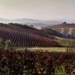 Cantine Coppo
