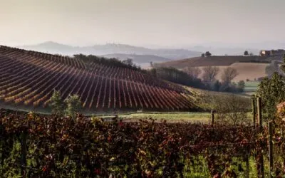 Cantine Coppo, il fascino  delle Langhe