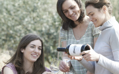 Il Soave Classico come non l’avete mai visto, attraverso i vini di Suavia