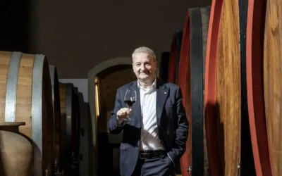Cantine Vitevis, Gianfranco Gambesi è il nuovo direttore generale