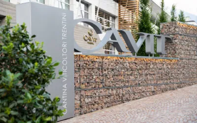 Cavit raggiunge i 75 anni di attività per il vino trentino; export al 76%