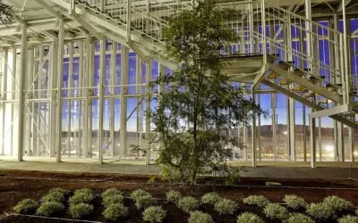 Intesa Sanpaolo: 10 miliardi per le filiere agroalimentari (1,5 per il solo settore vino)