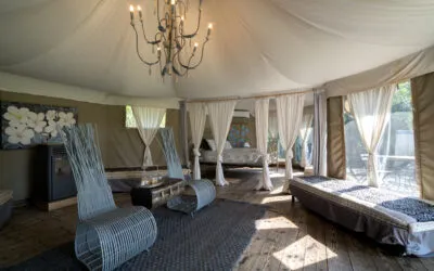 Eco-lusso e charme: il primo glamping d’Italia si trova vicino a Venezia
