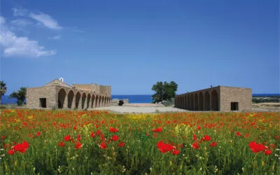 Calabria, il Cirò diventa DOCG e lo festeggia il 10 agosto