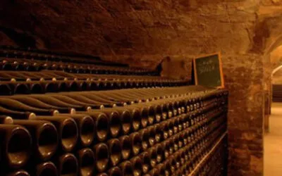 Cava, batosta nei conti 2024: meno 34 milioni di bottiglie nelle vendite. Cadono export ed anche i consumi interni