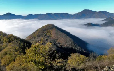 Colli Euganei DOC, i bordolesi patavini ora valorizzano il territorio