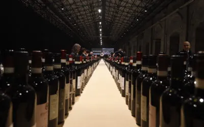 Chianti Classico, un millesimo 2024  “gastronomico”