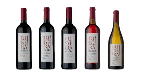 Ribera del Duero, ecco i vini istituzionali per l’esercizio 2026